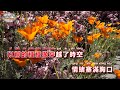 任然 舊友 singalong music video