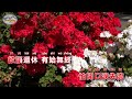 任然 舊友 singalong music video