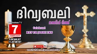 HOLY MASS|LATIN MASS|7 FEB 2025| REV FR JOSHI IMS |MALAYALAM QURBANA|TODAY MASS|GOODNESS TV