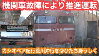 【機関車故障】EF81-81号機+カシオペア＋EF81-80号機@ひたち野うしく 2025.1.18