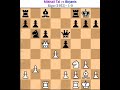 mikhail tal best sacrifices tal vs birjanis tal chess game tal best chess tal amazing chess