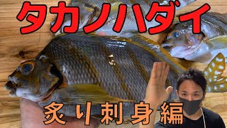 【未利用魚】魚のプロが認めるこの魚、ポテンシャル凄いんです！！