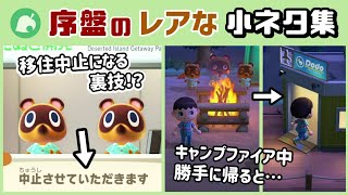 【あつ森】序盤で移住中止になる裏技…⁉︎ 意外と気付きにくい序盤に隠れた細かすぎる小ネタ集！【あつまれ どうぶつの森】@レウンGameTV