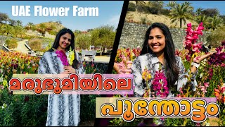 UAE യിലെ Flower Farm| Malayalam vlog | Hidden gem in UAE| Snapdragon