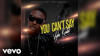 Vybz Kartel - You Can't Say ( Audio)