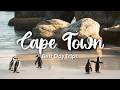 CAPE TOWN, SOUTH AFRICA (2026) | Best Day Trips From Cape Town