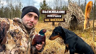 Выживание 24-Часа. Ловушки на фазана. Тони поймал Лису.