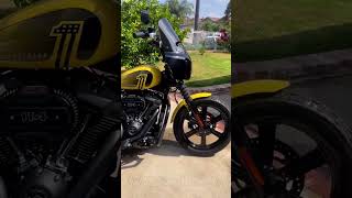 40L Lamellar Raven Extra Large Painted Motorcycle Hard Saddlebags for Harley Softail Street Bob FXBB