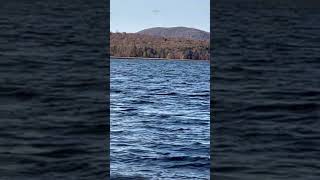 Lake view #relaxing #shortsfeed #shorts #shortvideo #travel #lakeview #lake #ytshorts #ytshots #yt