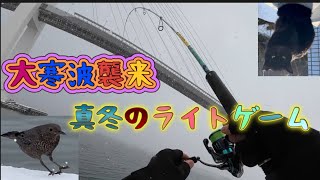 大雪警報！？富山西部のポイントでライトゲーム色々やってきたヨ