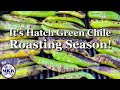 It's Hatch Green Chile Roasting Season!