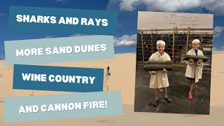 Sharks and rays, more sand dune spills, Hunter Valley with kids and cannon fire! (Episode 12)