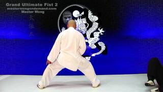 tai chi push hands tai chi chuan fight style use tai chi - Lesson 6