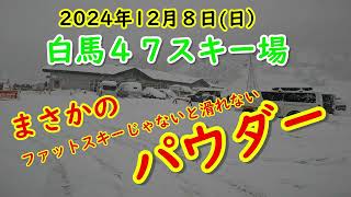 パウダー 2024年12月8日　白馬47スキー場ルート３最高！