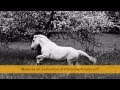 Eisva mudu abudu // Lithuanian folk song. HD