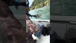 Drano Lake Springer Fishing with Tyler Kraft Sportfishing | Hot Dogs & Black Licorice Bite! 🎣