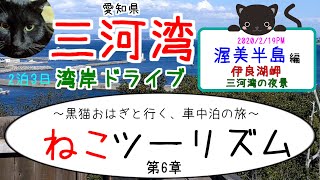 【猫と旅行in三河湾】渥美半島、伊良湖岬、三河湾ドライブウェイからの夜景【湾岸ドライブ】