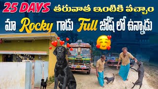 25 రోజుల తరువాత ఇంటికి వచ్చాం || మా రాఖీ గాడు Full Exite అయిపోతున్నడు @TeluguTruckVlogsHarish