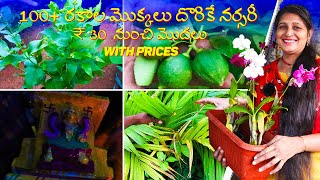 🔴100+ Plant Varieties in One Nursery |  ₹30 నుంచి మొదలు | Best Nursery Tour in Hyderabad