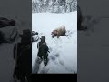 Bear Attacks NPC in Red Dead Redemption 2 #shorts #rdr2 #rdr