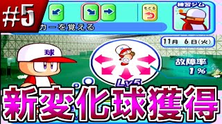 【パワプロ8決】ドラフ島生存競争記＃５【実況パワフルプロ野球8決定版】