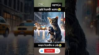 ছোট্ট বিড়ালটি একেবারেই অনাথ।😭 #catstory #cat #catshorts