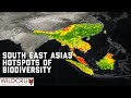 South East Asia's Hotspots of Biodiversity