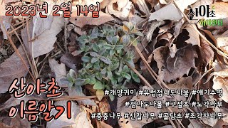 산야초 이름알기 2023년 2월 14일 #산야초하이랜더