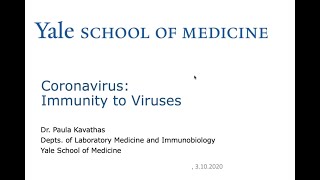 Coronavirus: Immunity to Viruses