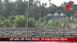 রূপগঞ্জের কৃষি জমির মাটি গিলছে ইটভাটা, নষ্ট হচ্ছে প্রাকৃতিক পরিবেশ