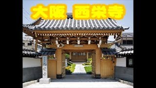 第17話【西栄寺】山田博泰住職　こころ塾【みんなのお寺】