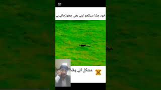 خود چلنا سیکھو برا وقت آ نے پر اپنے بھی چھوڑ جاتے ہیں #funny #villagelifecomedy #comedymovies #