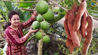 কাঁচা তেতুল দিয়ে বাড়ির ফ্রেশ পেঁপের অপূর্ব স্বাদের রেসিপি সাথে রু-এর দুস্টমী /papaya Plastic chutney