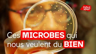 Ces microbes qui vous veulent du bien