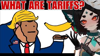 Tariffs Explained with Bananas / Primate Economics React