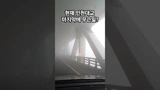 인천 영종대교 현재 안개