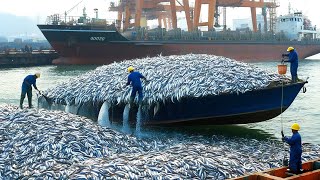 Fishermen catch thousands of mackerel with giant trawl nets, how to catch mackerel on a fishing boat