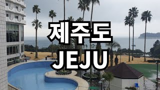 역시 #제주는 바람이지