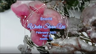 SNOVID 2021, Winter Storm Uri, ATX, Part 2