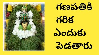 గణపతి కి గరిక ఎందుకు ఇష్టమో తెలుసుకుందాం/Ganeesh/Garika