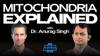 Mitochondria Explained: The Cellular Powerhouse | Dr. Anurag Singh