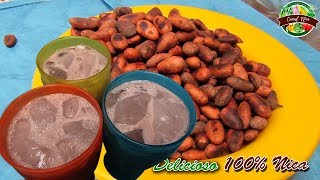 fresco de cacao receta original