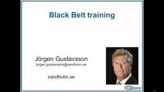 Black Belt education