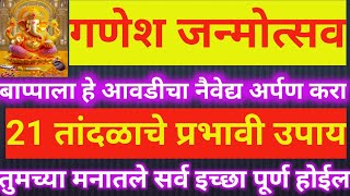 उद्या माघी गणेश जयंती | आवडीचे नैवेद्य अर्पण करा |21 तांदळाचे प्रभावी उपाय मनातल्या इच्छा पूर्ण होईल