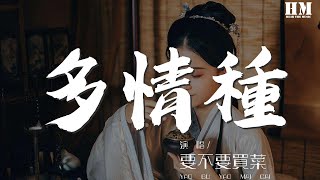 要不要買菜 - 多情種『如花 似夢 是我們短暫的相逢』【動態歌詞Lyrics】