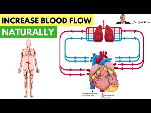 ❤️ How To Increase Blood Flow & Circulation Naturally ❤️ How To Increase Blood Flow & Circulation Naturally