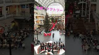 2022 札幌ファクトリークリスマスツリーイルミネーション点灯直前🎄🎁🎅🌟2022 Sapporo factory Christmas tree Illumination