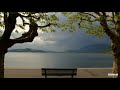 25. Serenity Music Relaxation - Peaceful Mind (Soothing & Calming Music)