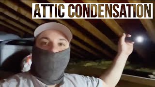 Poor Attic Ventilation | Condensation in Attic