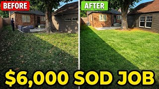 I Installed Sod for $6K | Full Cost and Profit Breakdown